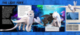 How to Train your Dragon ‚ The Hidden World 3D