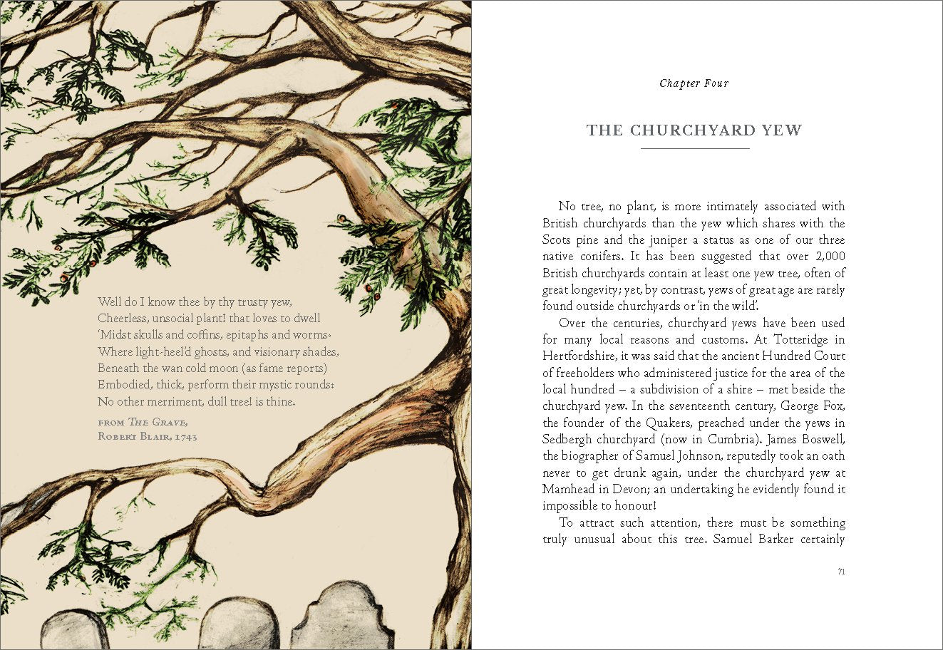Earth to Earth: A Natural History of Churchyards