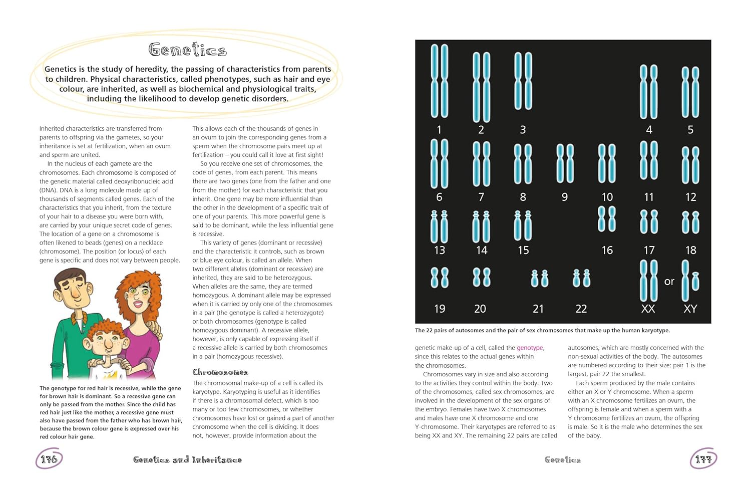 The Secret Life of the Human Body