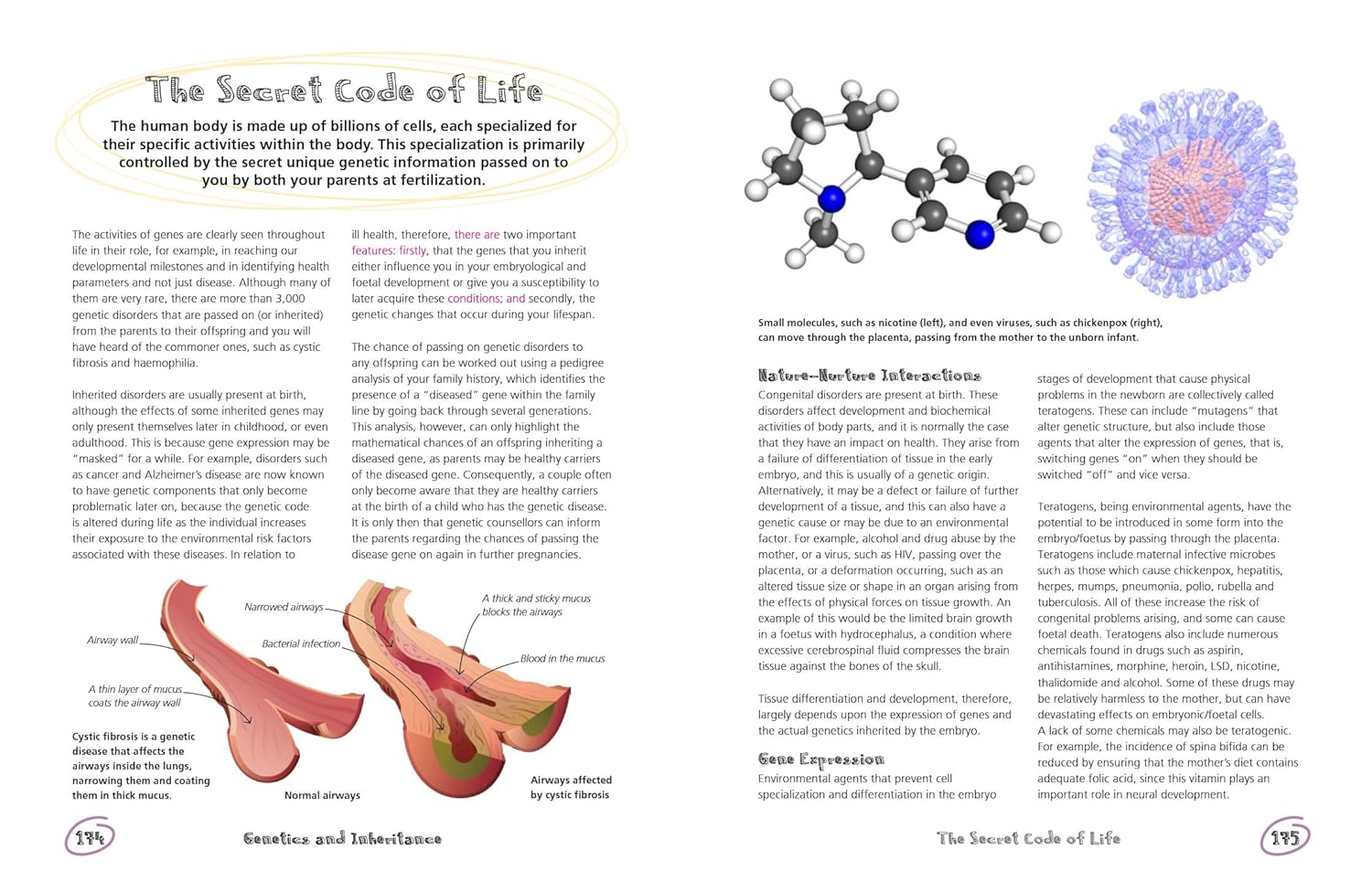 The Secret Life of the Human Body