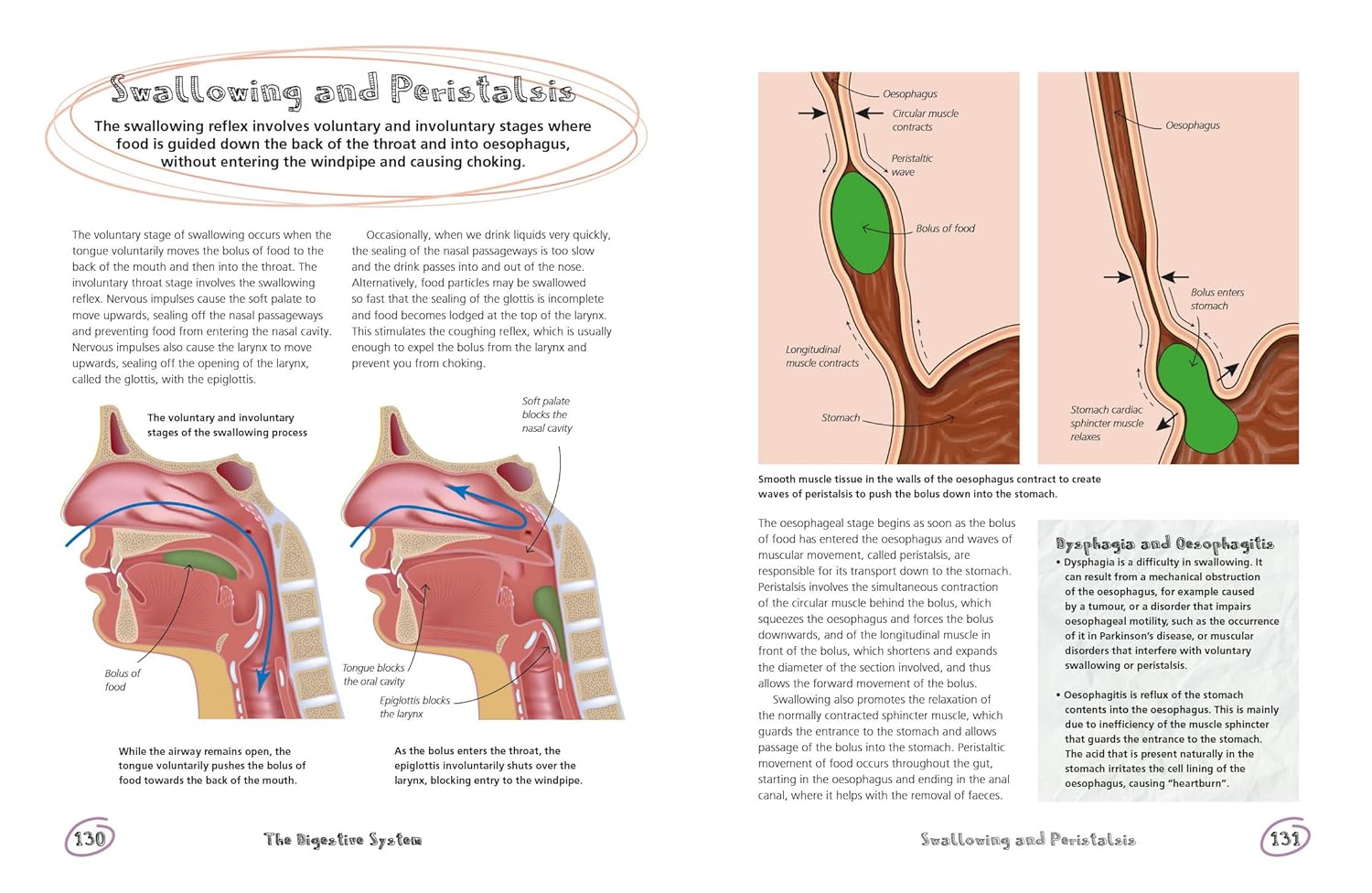 The Secret Life of the Human Body