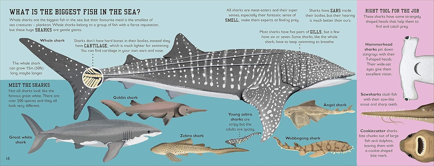 The sea book