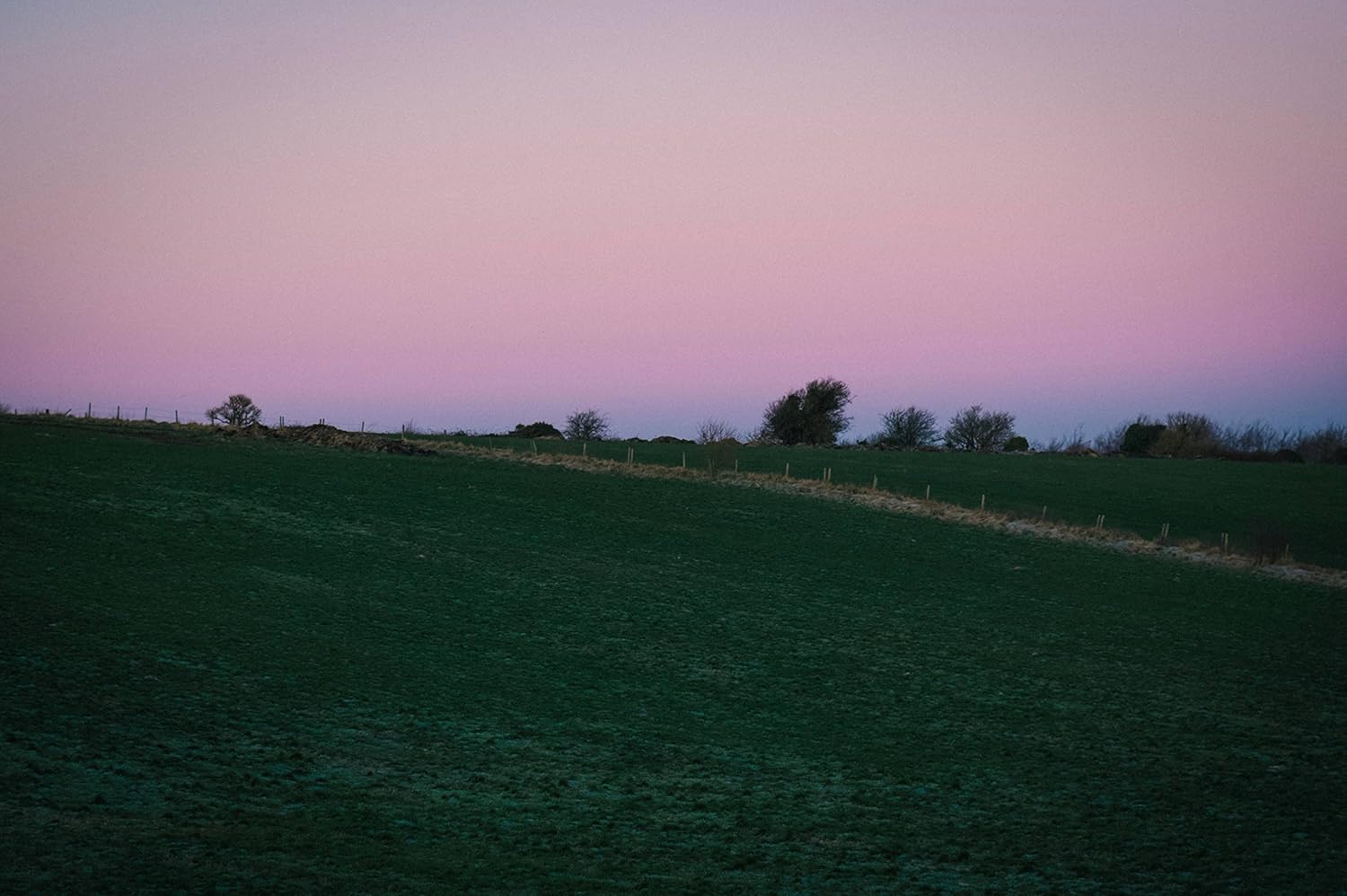 PIG: Tales from an Organic Farm