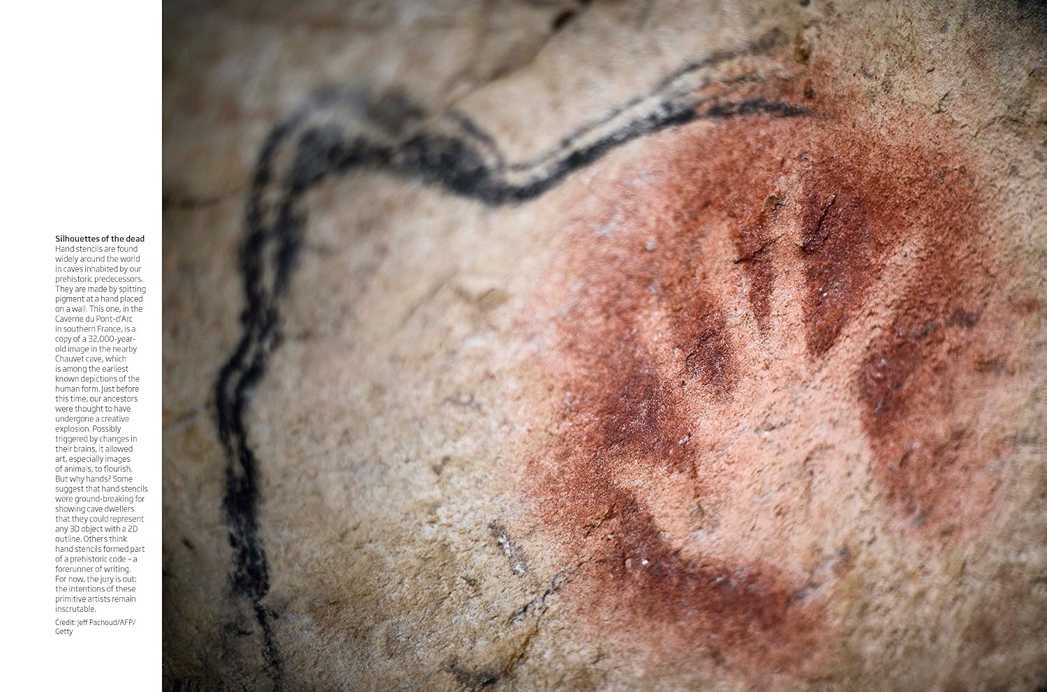 How to be Human (The ultimate guide to your amazing existence)