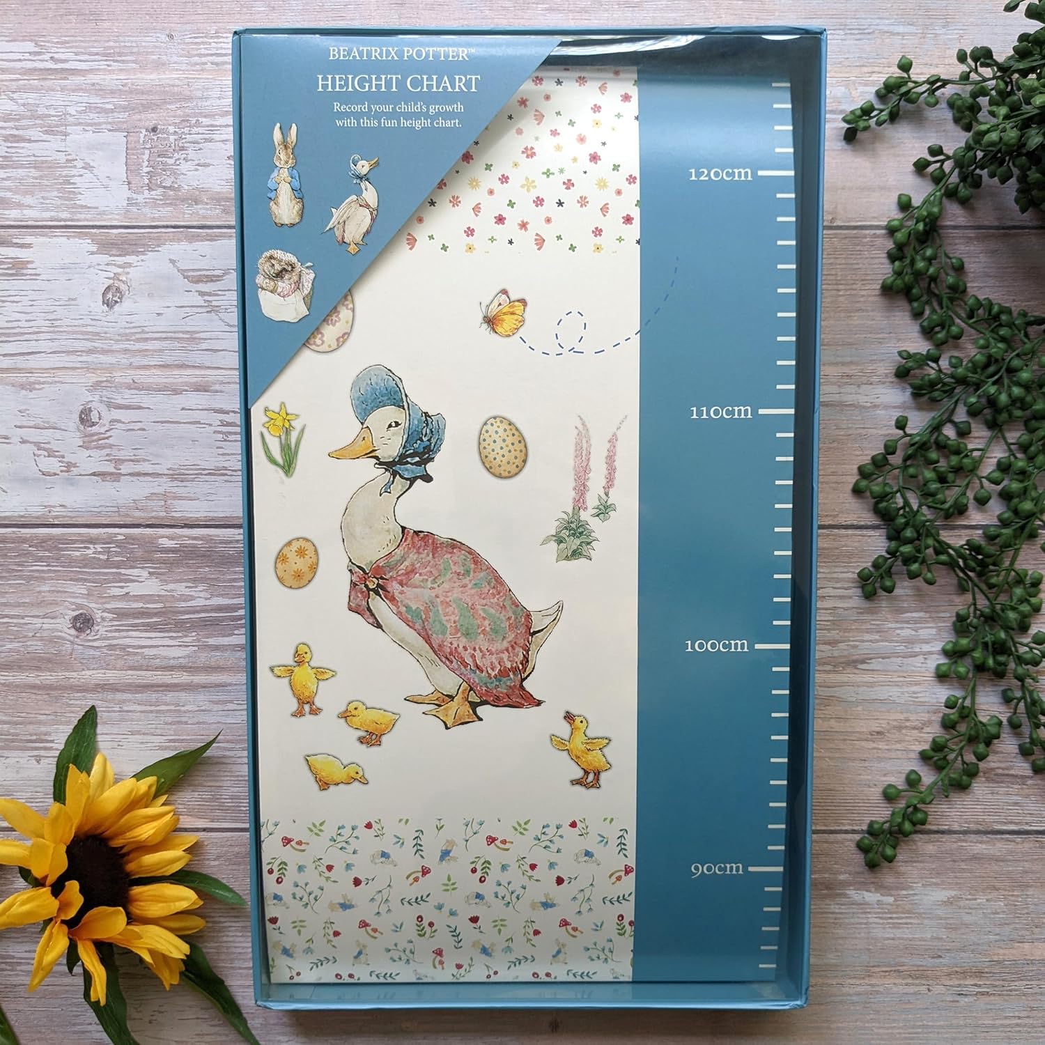 Beatrix Potter Children's Height Chart