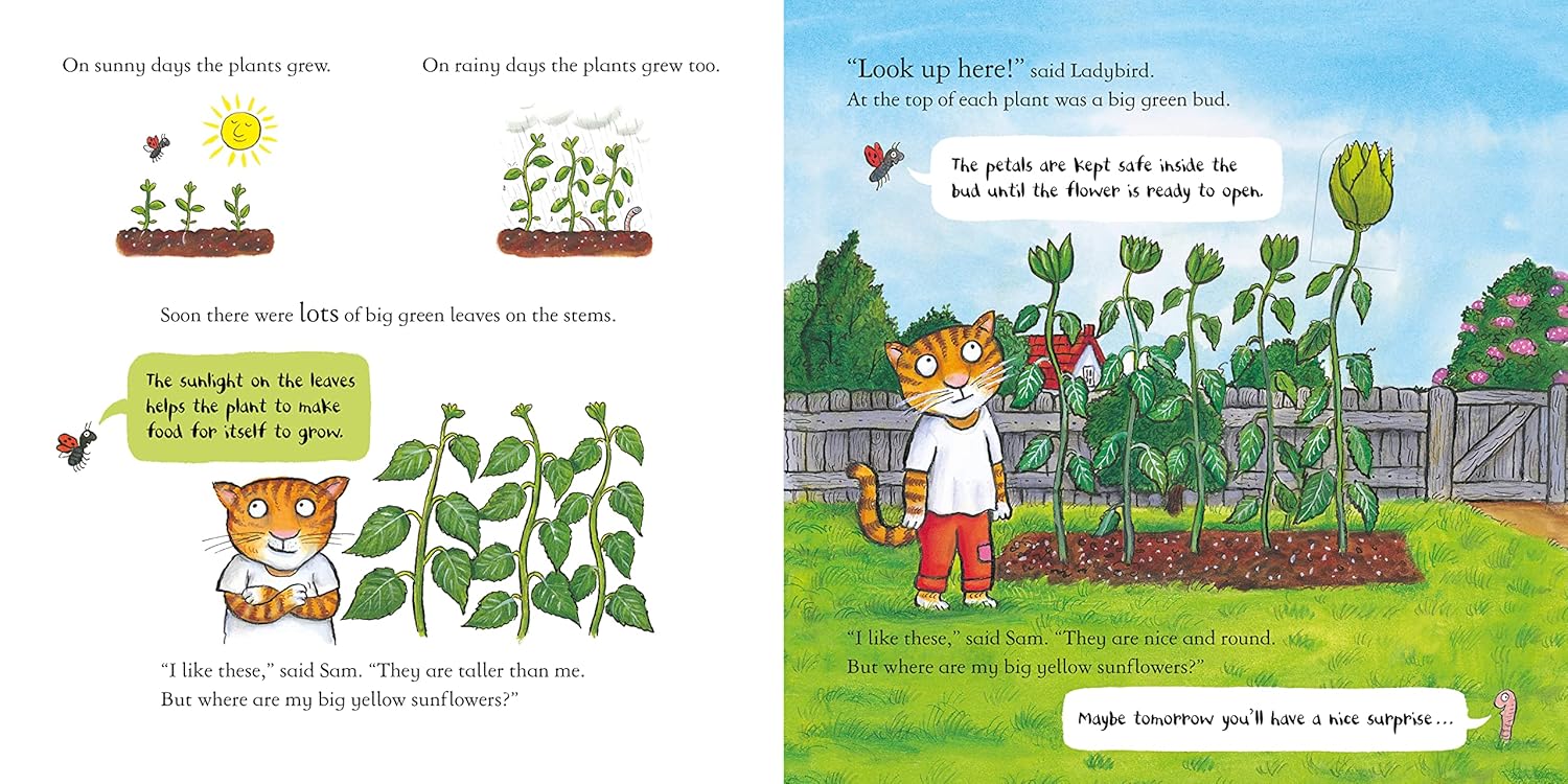 National Trust: Sam Plants a Sunflower (Axel Scheffler National Trust Planting Books)