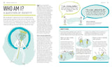 Practical Mindfulness