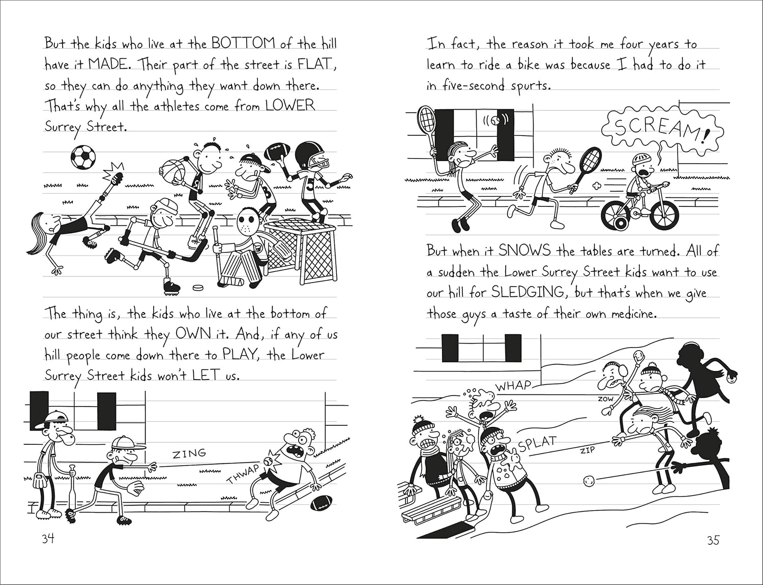 Diary of a Wimpy Kid: The Meltdown