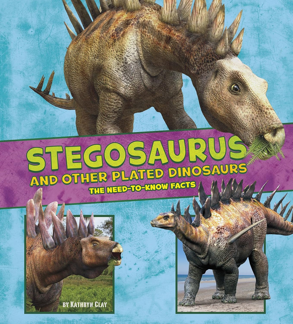 Stegosaurus And Other Plated Dinosaurs