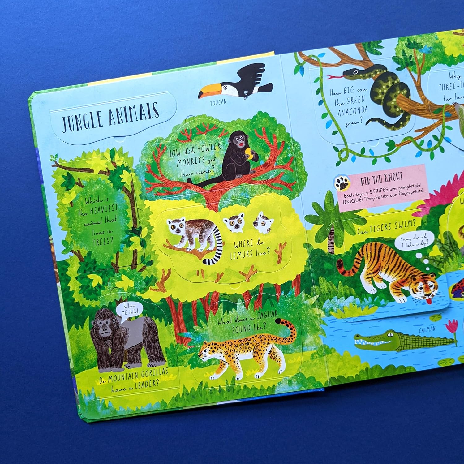 Which Animal Would be a Good Friend? - Lift-the-Flap Questions & Answers
