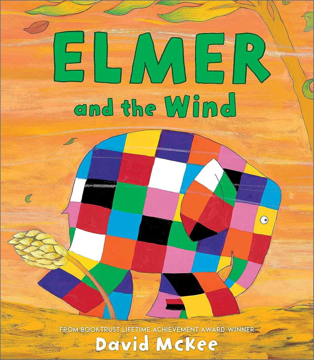 Elmer and the Wind (Elmer Picture Books)