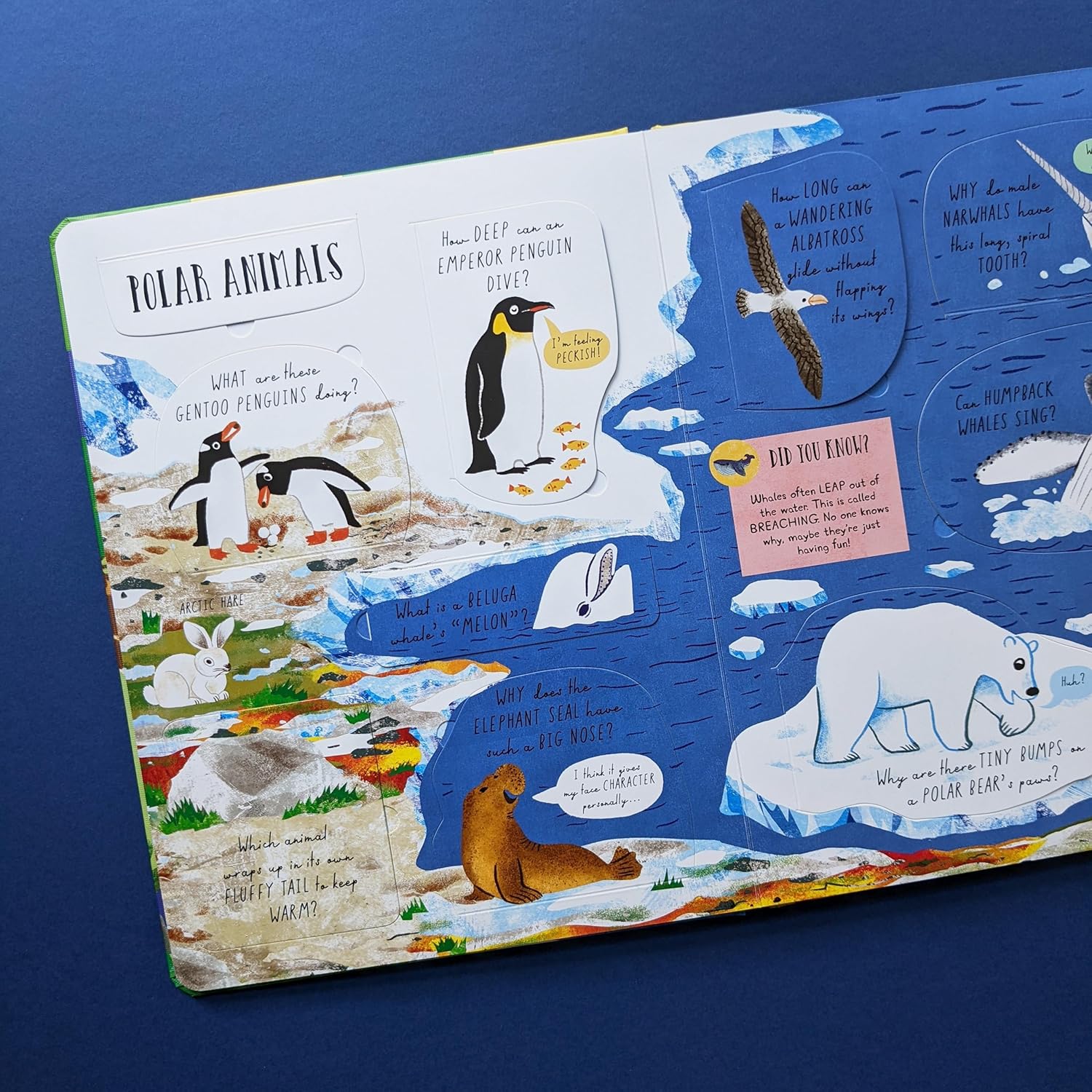 Which Animal Would be a Good Friend? - Lift-the-Flap Questions & Answers