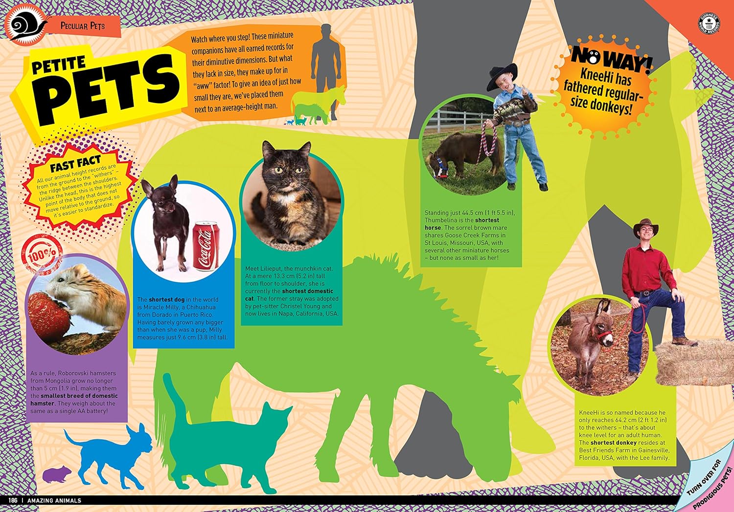 Guinness World Records Amazing Animals