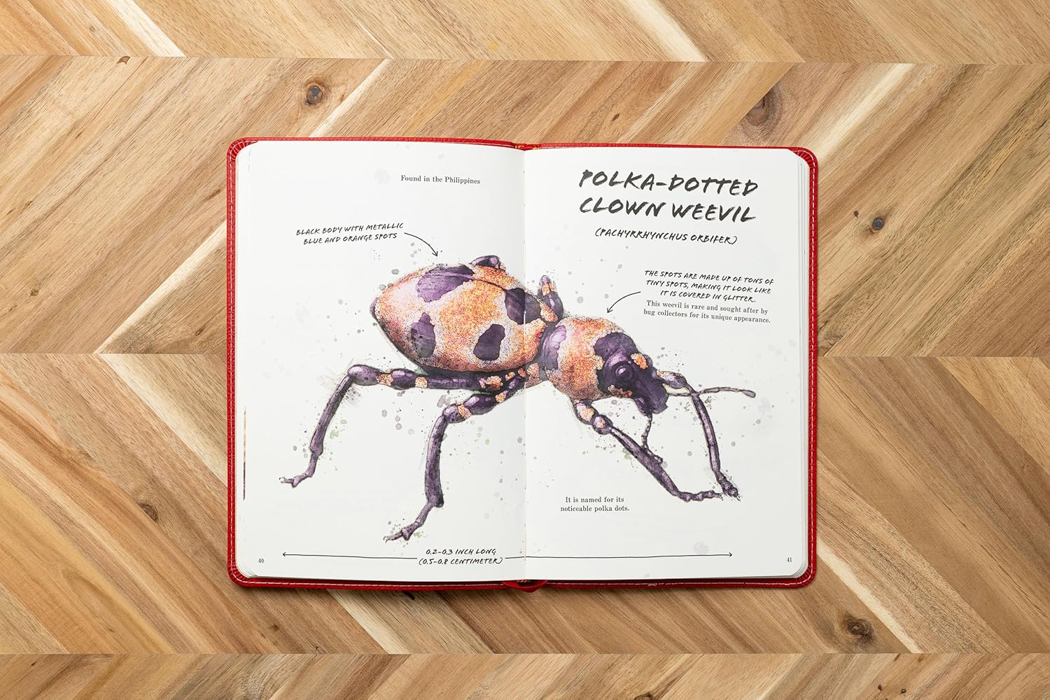 The Ultimate Bug Field Guide
