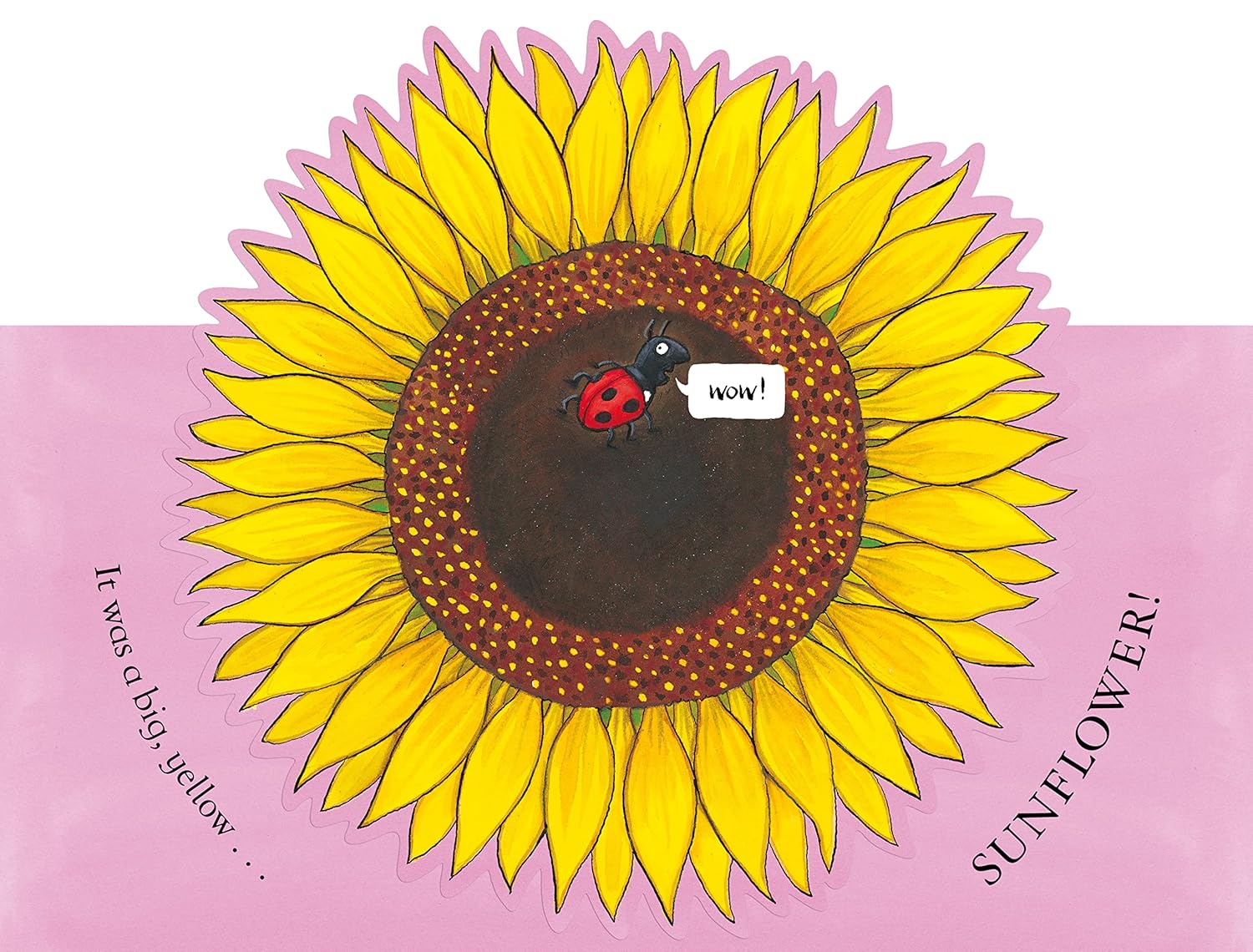 National Trust: Sam Plants a Sunflower (Axel Scheffler National Trust Planting Books)