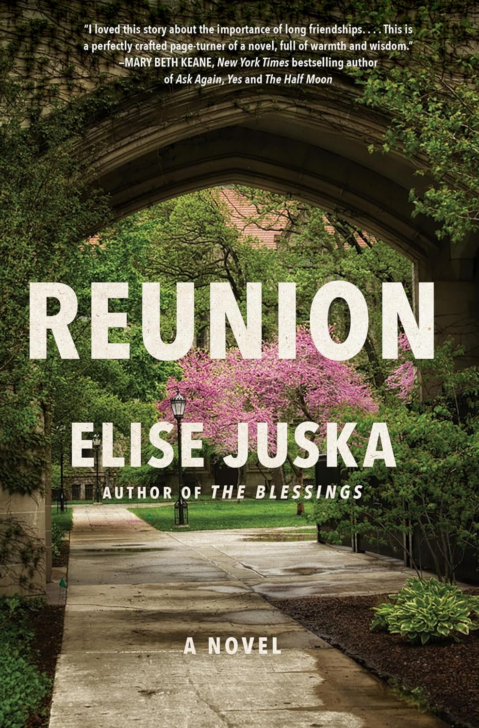 Reunion: A Novel [hardcover]