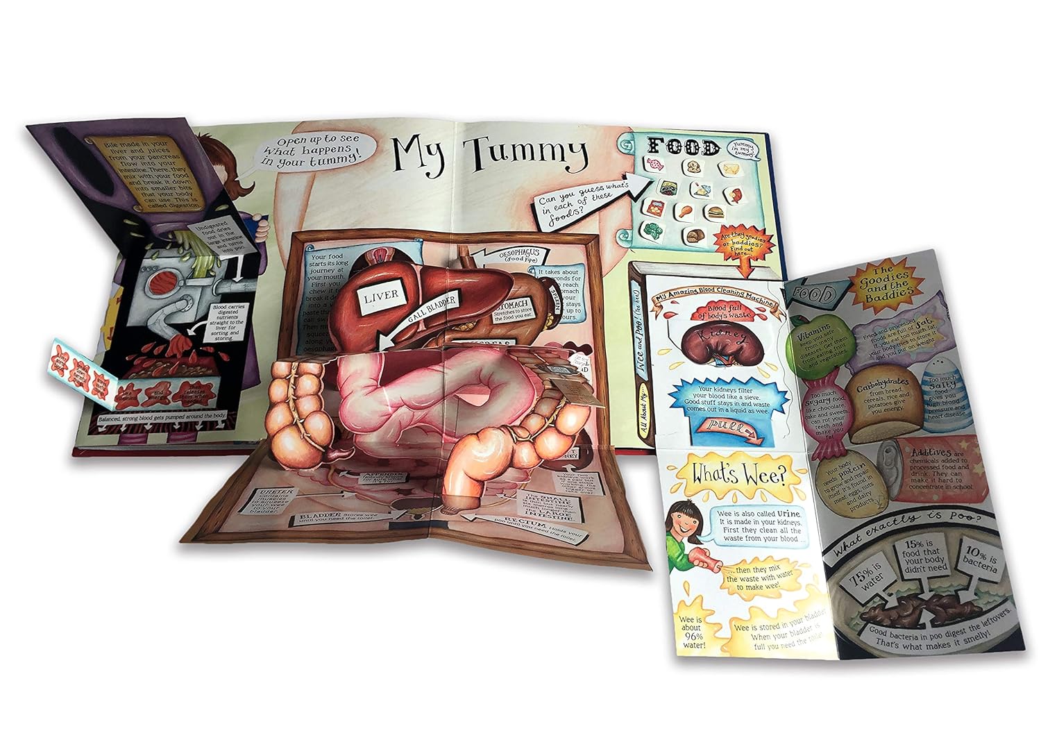 My Pop-Up Body Book