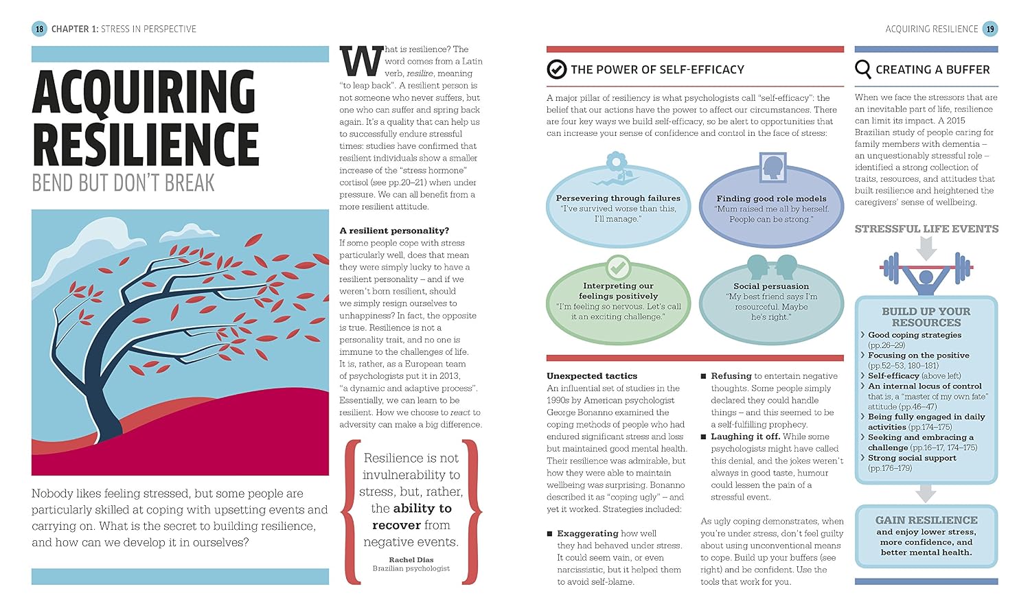 Stress The Psychology of Managing Pressure: Practical Strategies to turn Pressure into Positive Energy