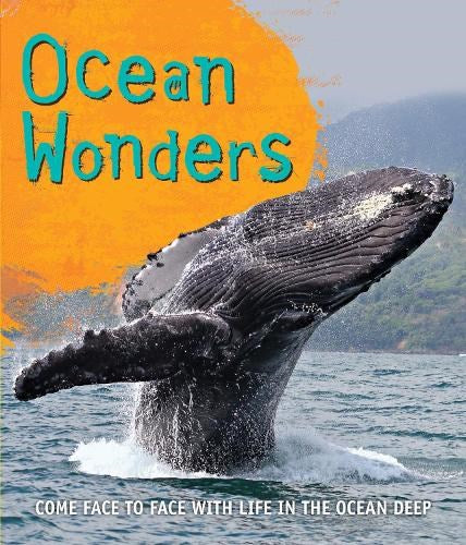 Fast Facts! Ocean Wonders: 14 (Fast Facts, 14)