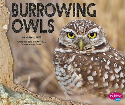 Burrowing Owls Hardcover