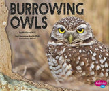 Burrowing Owls Hardcover