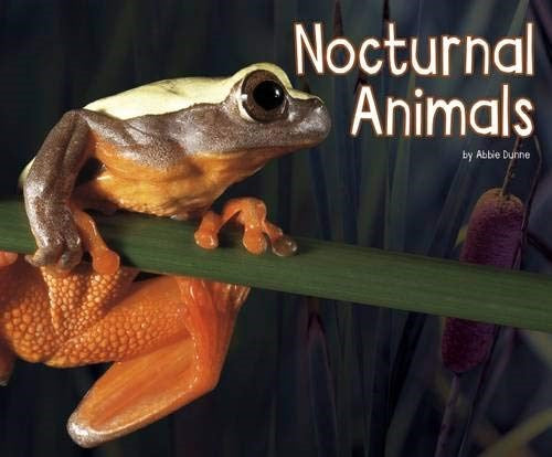 Nocturnal Animals (Pebble Plus: Life Science)