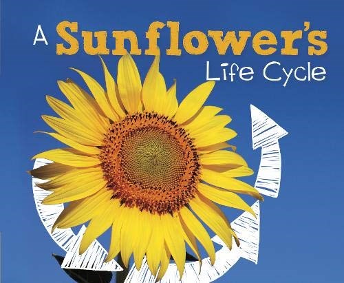A Sunflower's Life Cycle (Explore Life Cycles)
