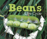 A Bean's Life Cycle (Explore Life Cycles)
