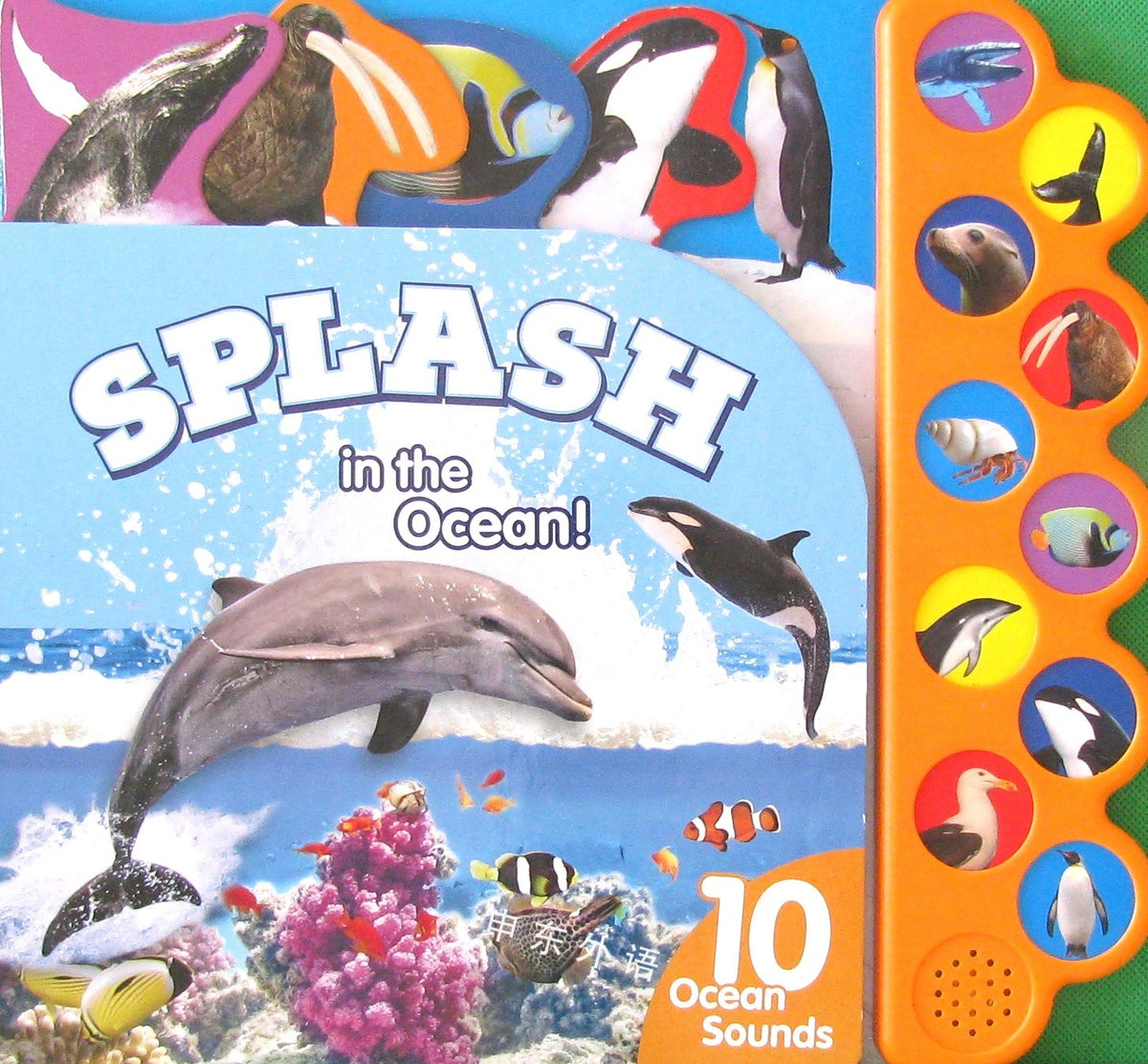 Splash in the Ocean!: 10 Ocean Sounds