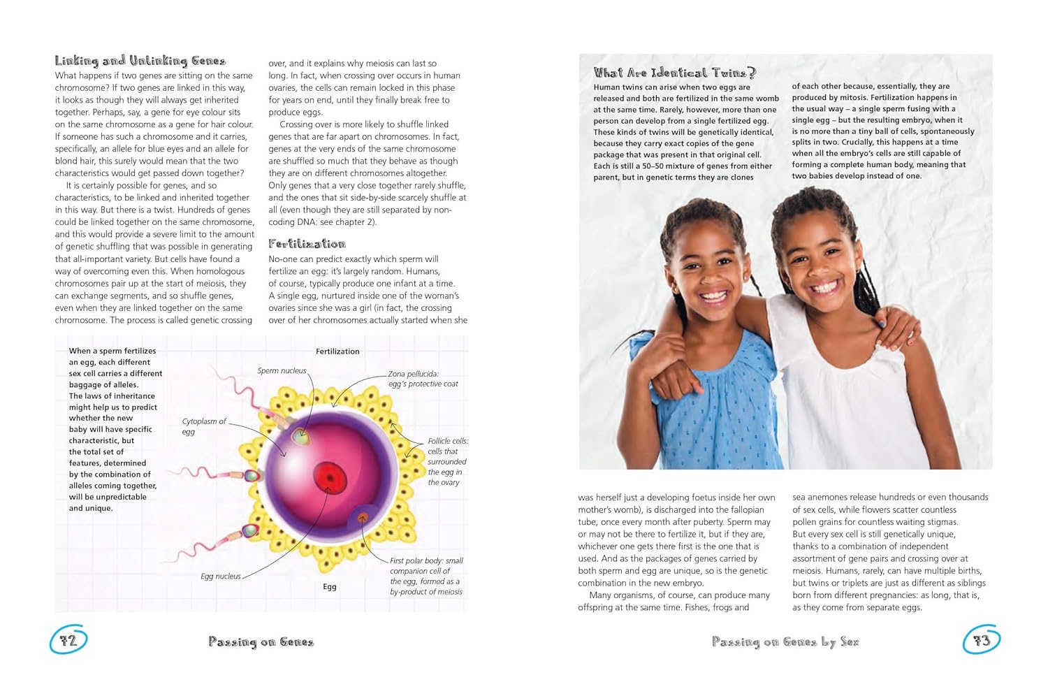 The Secret Life of Genes