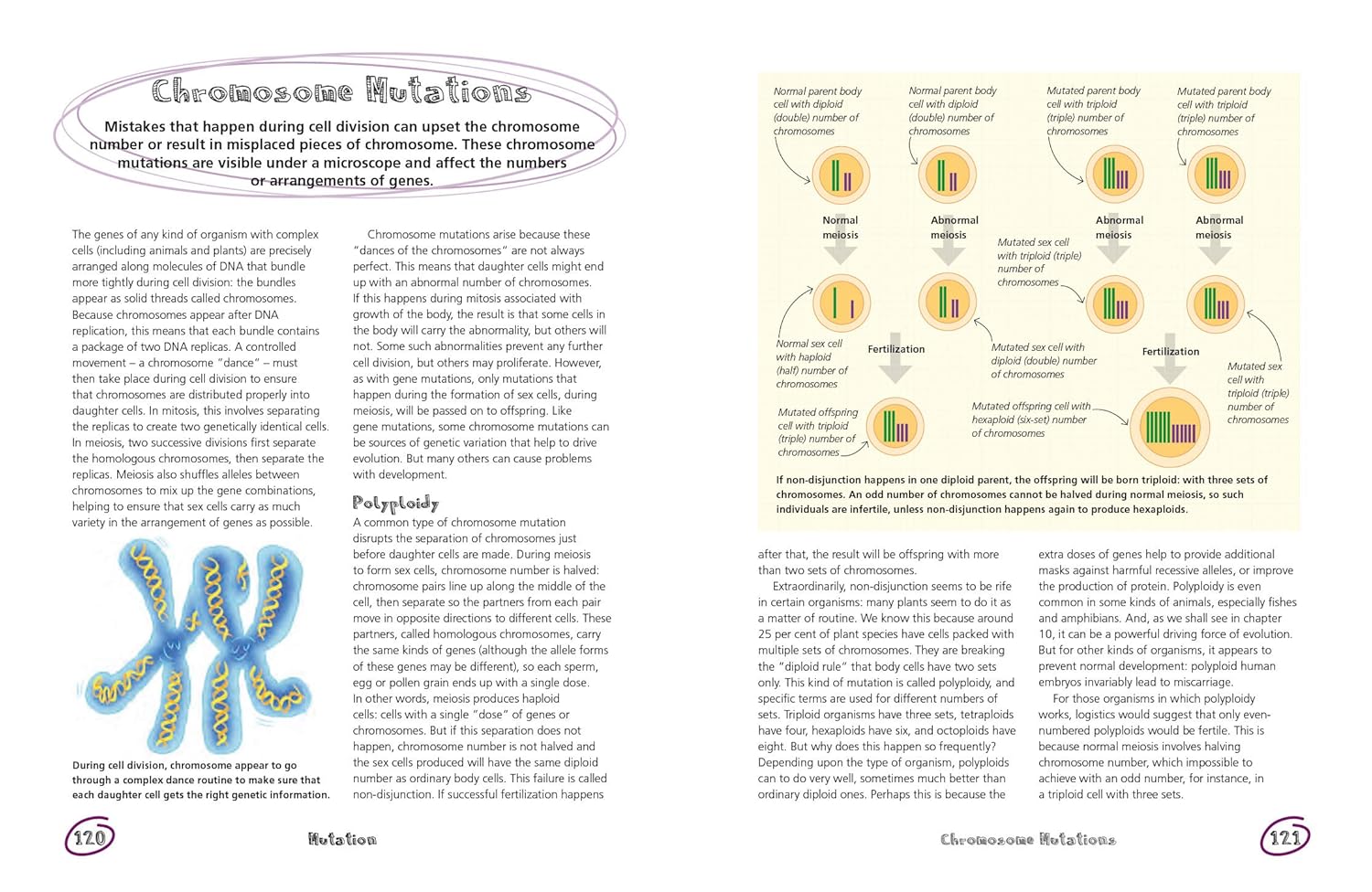 The Secret Life of Genes