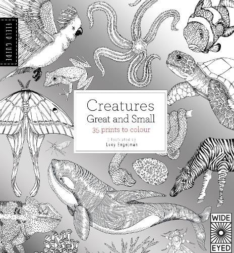Field Guide: Creatures Great and Small: 35 Prints to colour