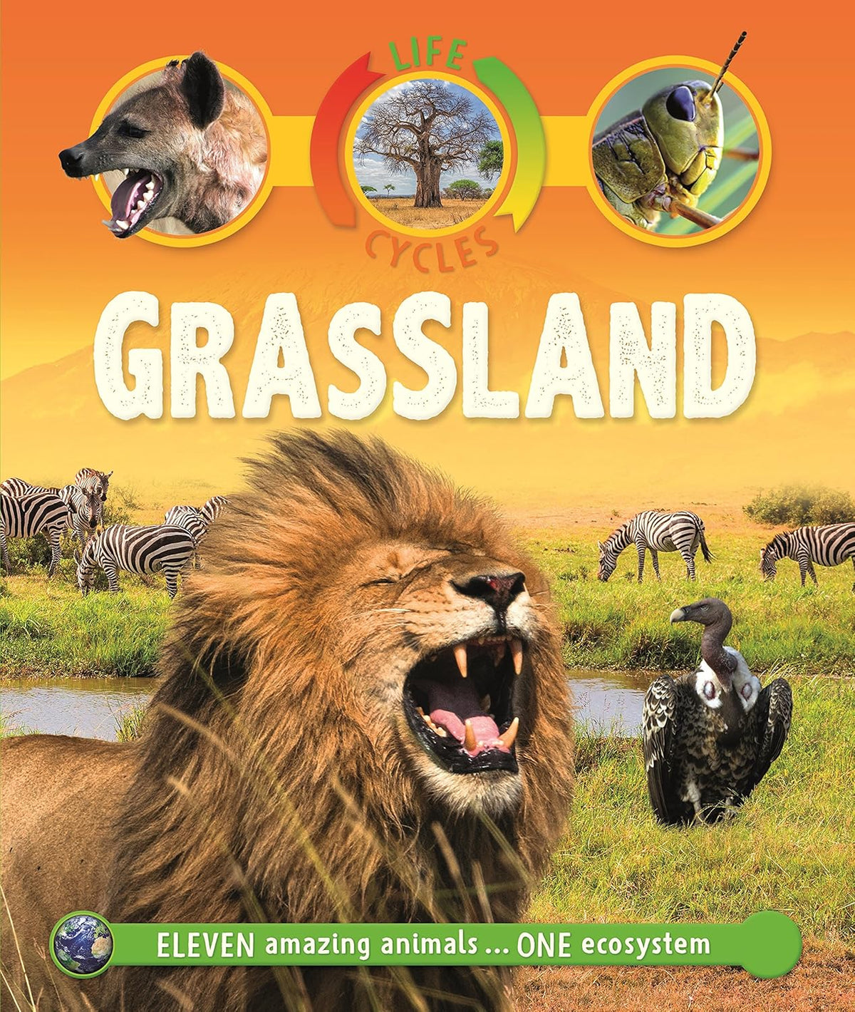 Life Cycles Grassland