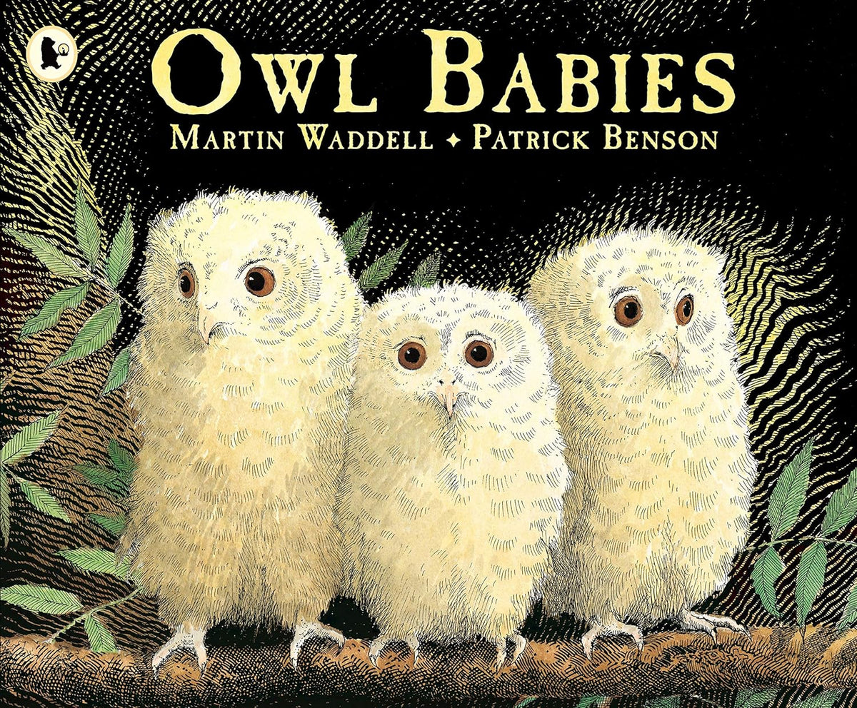 Owl Babies Book