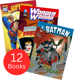 Dc Super Heroes Chapter Book 12 Collection