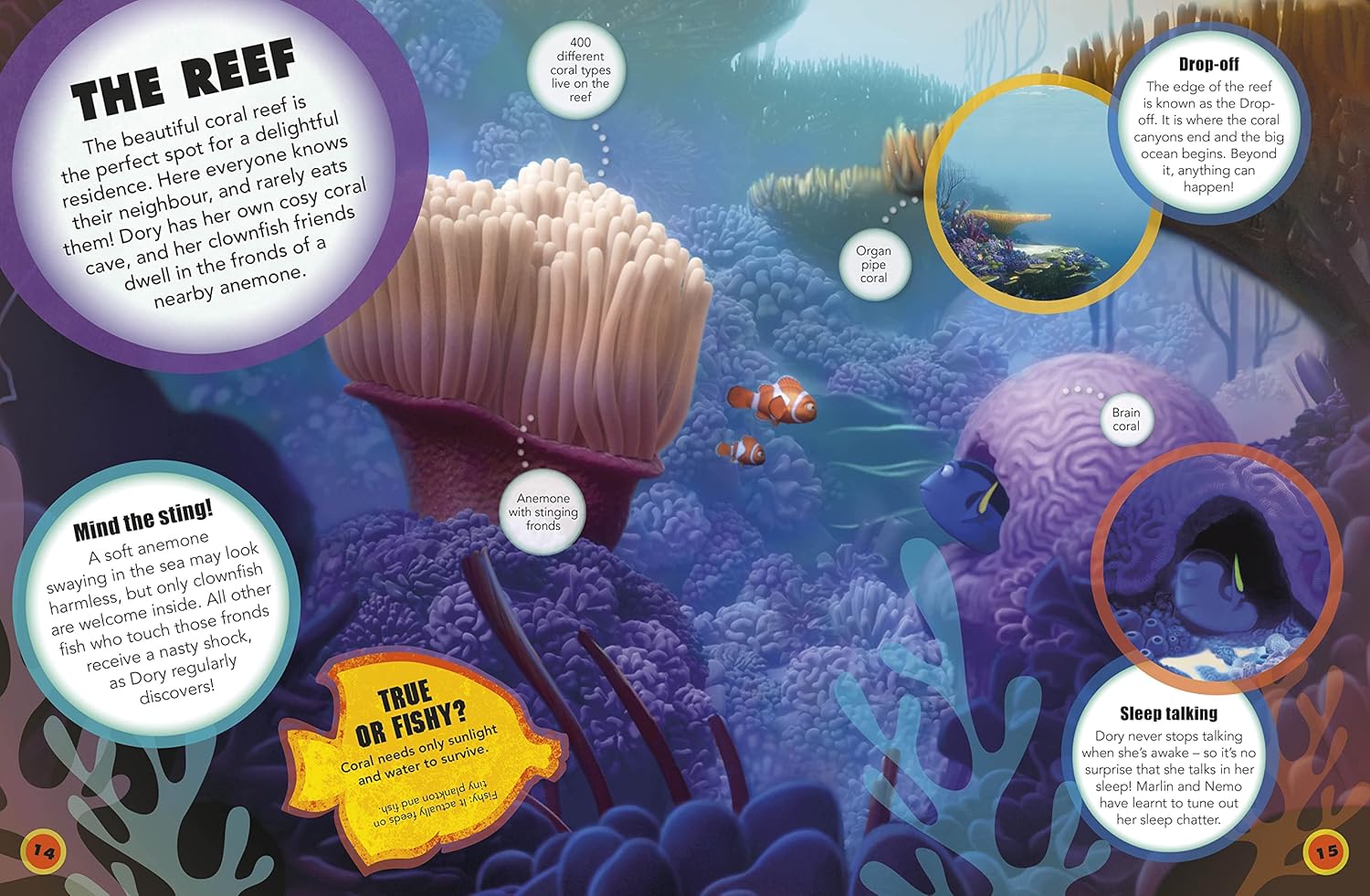 Finding Dory: The Essential Guide