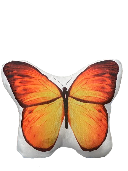 Orange Butterfly Light-Up Cushion