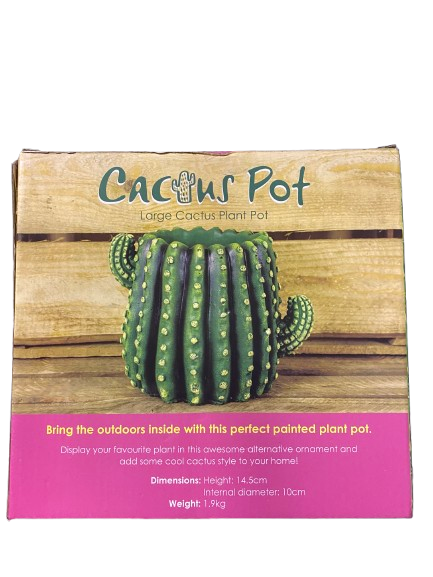 Cactus Large Planter