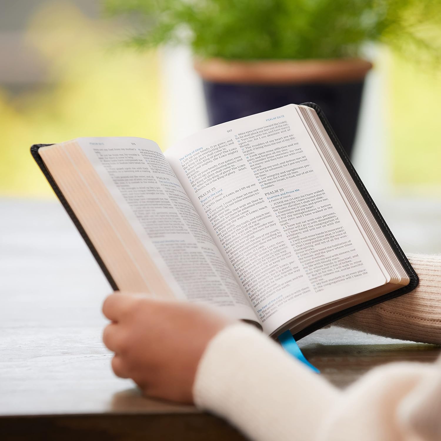 KJV, Compact Bible, Maclaren Series, Leathersoft, Brown, Comfort Print: Holy Bible, King James Version