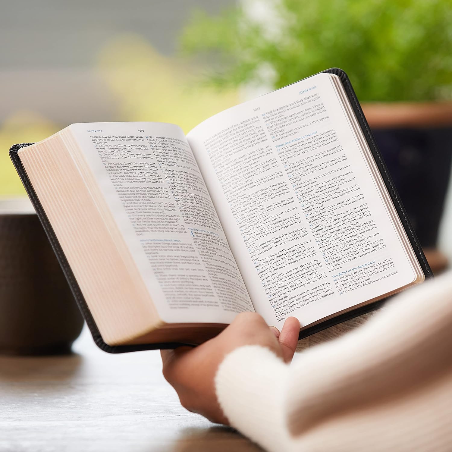 KJV, Compact Bible, Maclaren Series, Leathersoft, Brown, Comfort Print: Holy Bible, King James Version