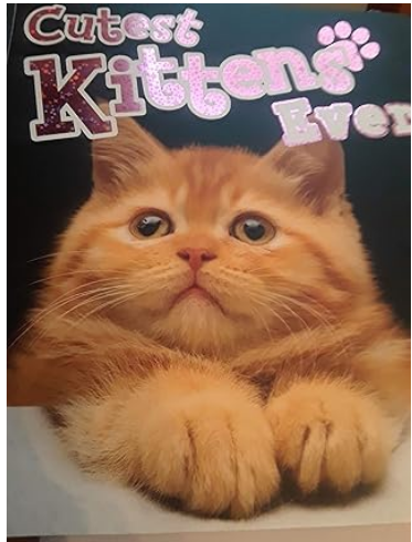 Cutest Kittens Ever