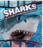 Sharks - Get Up Close