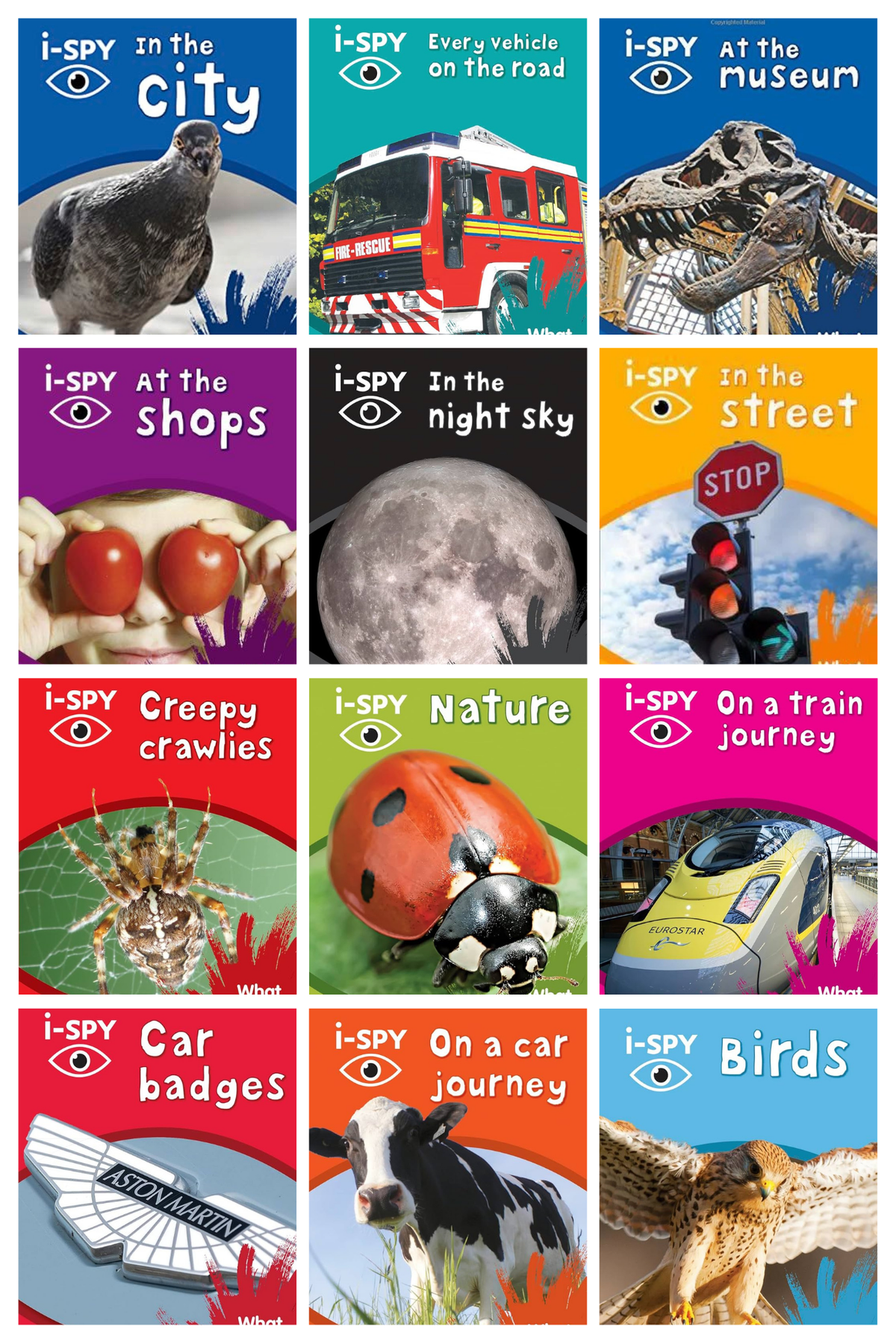 The I Spy Collection x12
