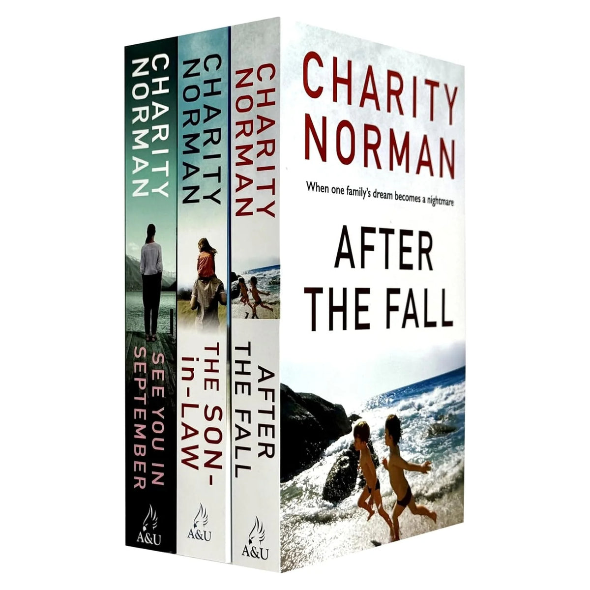 Charity Norman 3-book set (After the fall, The son-in-law, See you in September)