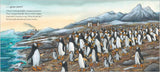 Jonty Gentoo – The Adventures of a Penguin