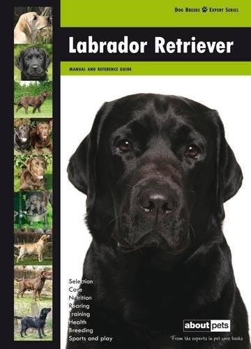 Labrador Retriever: Dog Breed Expert Series