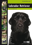 Labrador Retriever: Dog Breed Expert Series