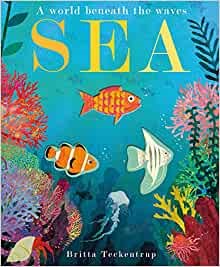 Sea: A World Beneath the Waves