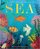 Sea: A World Beneath the Waves