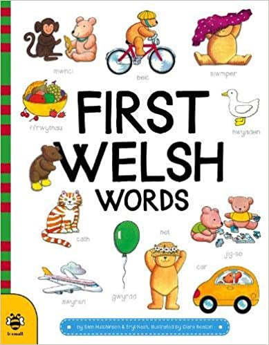 First Welsh Words: 1 (First Word Board Books)